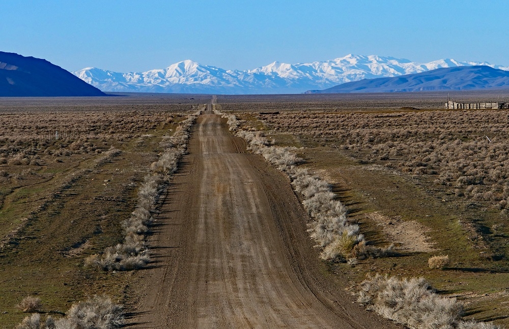 P1007529er.jpg
