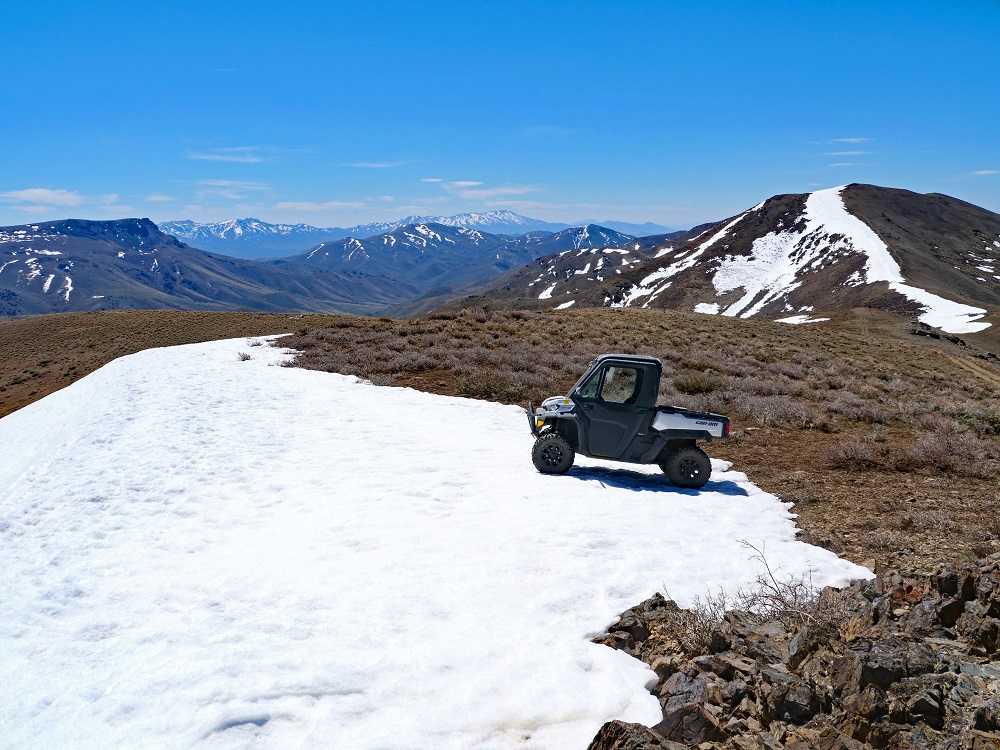 P1008297ertbn.jpg