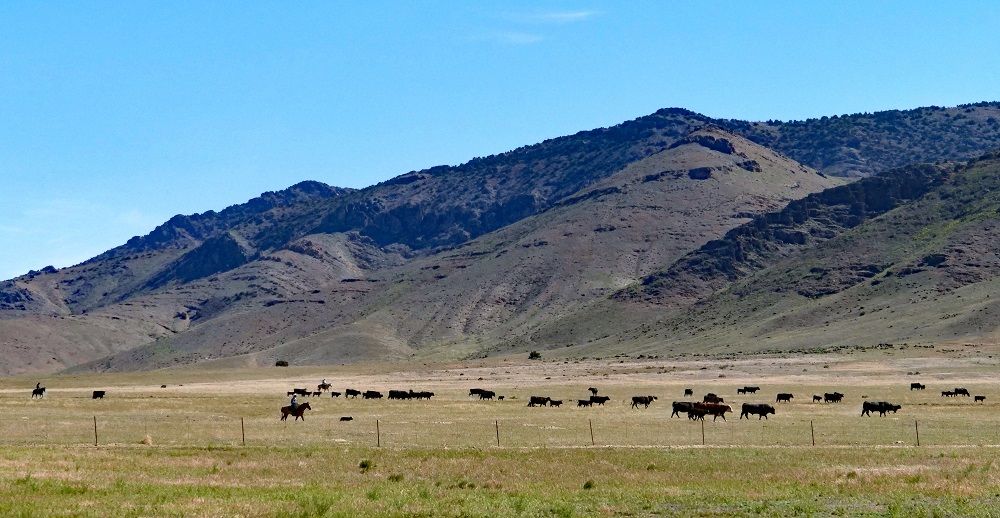 P1009246ecptbnr.jpg