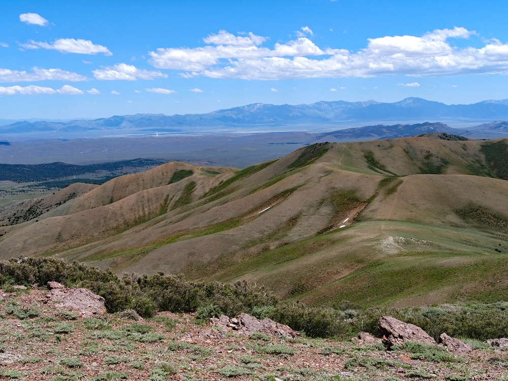 P1009380ertbn1-4-25.jpg