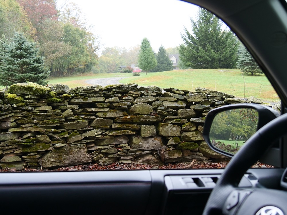 P1009463rtbn12-5-24.jpg