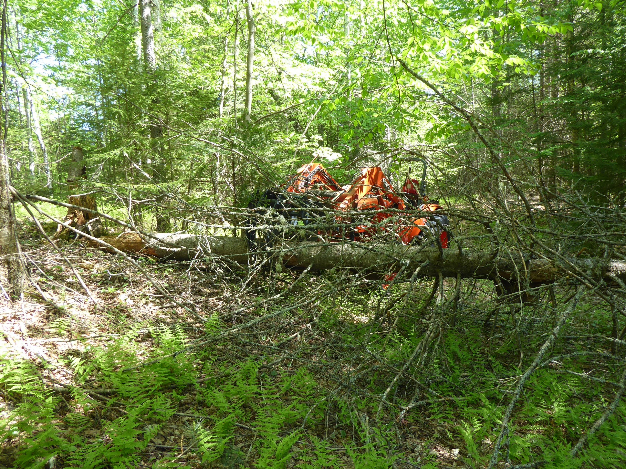 P1010078.JPG