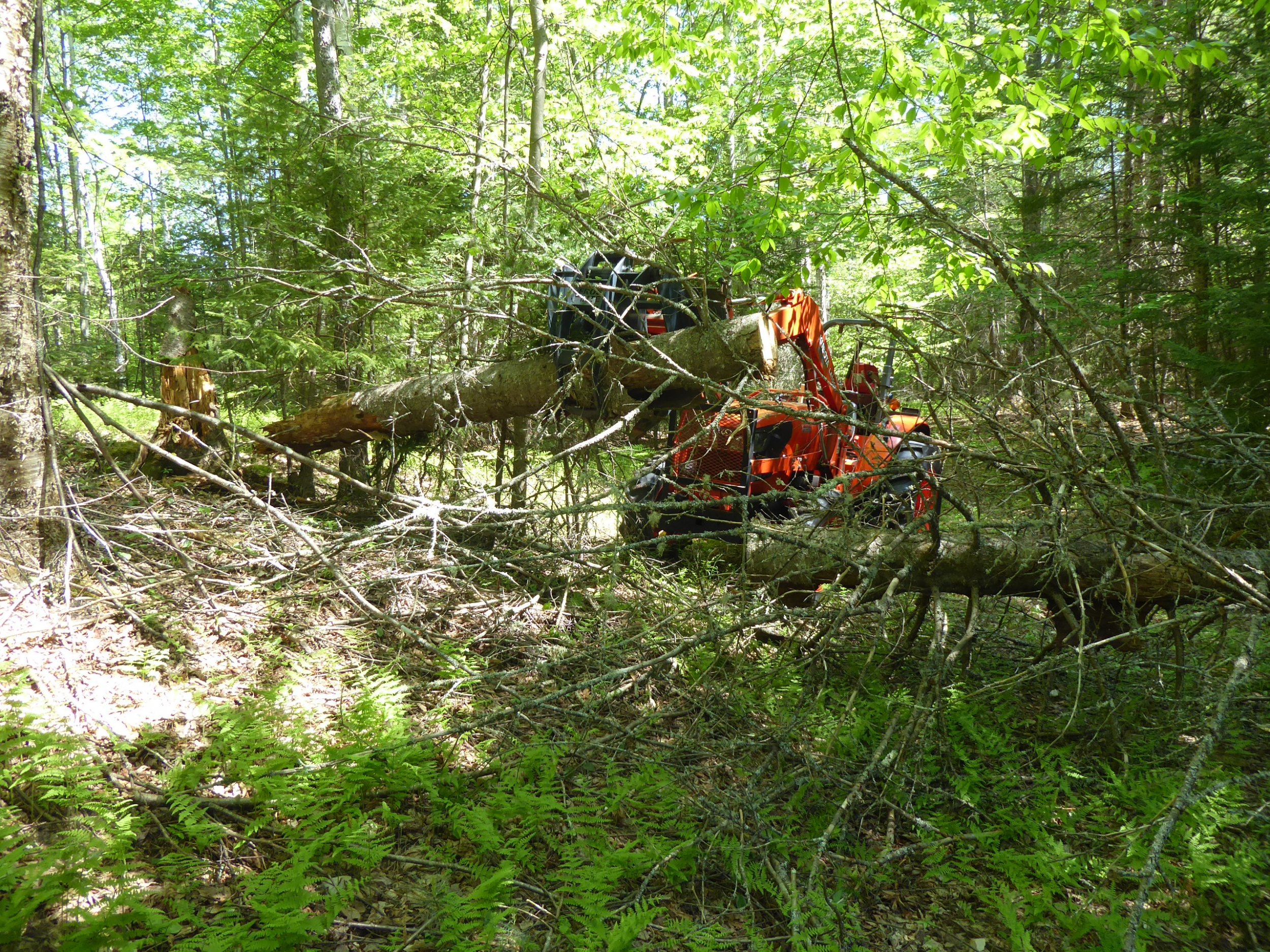 P1010079.JPG