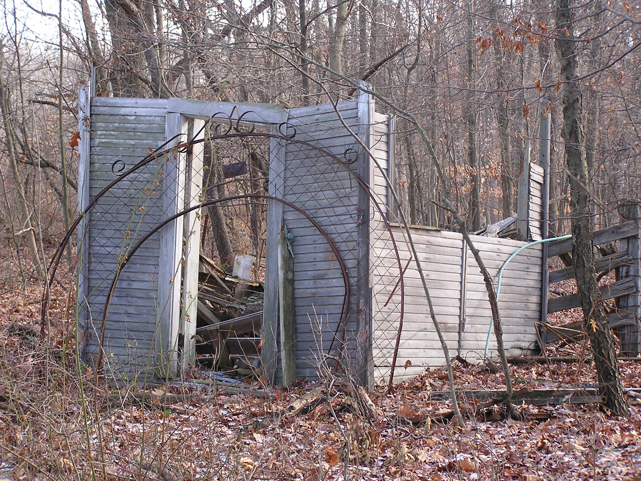 P1010103.JPG