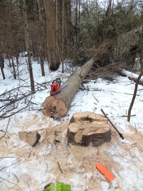 P1010469(1).JPG