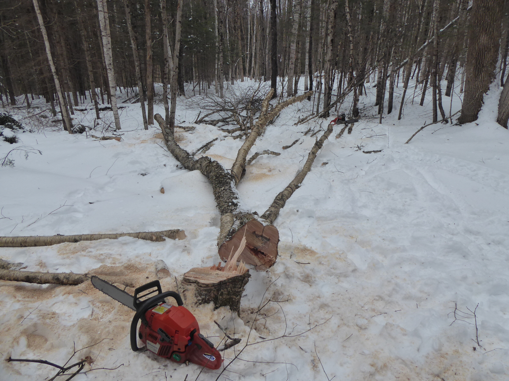 P1010514(1).JPG