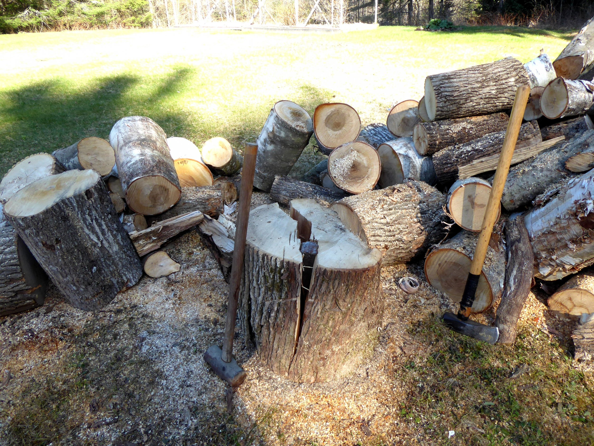 P1010587(2).JPG