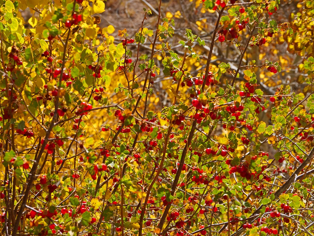 P1011222ertbn.jpg