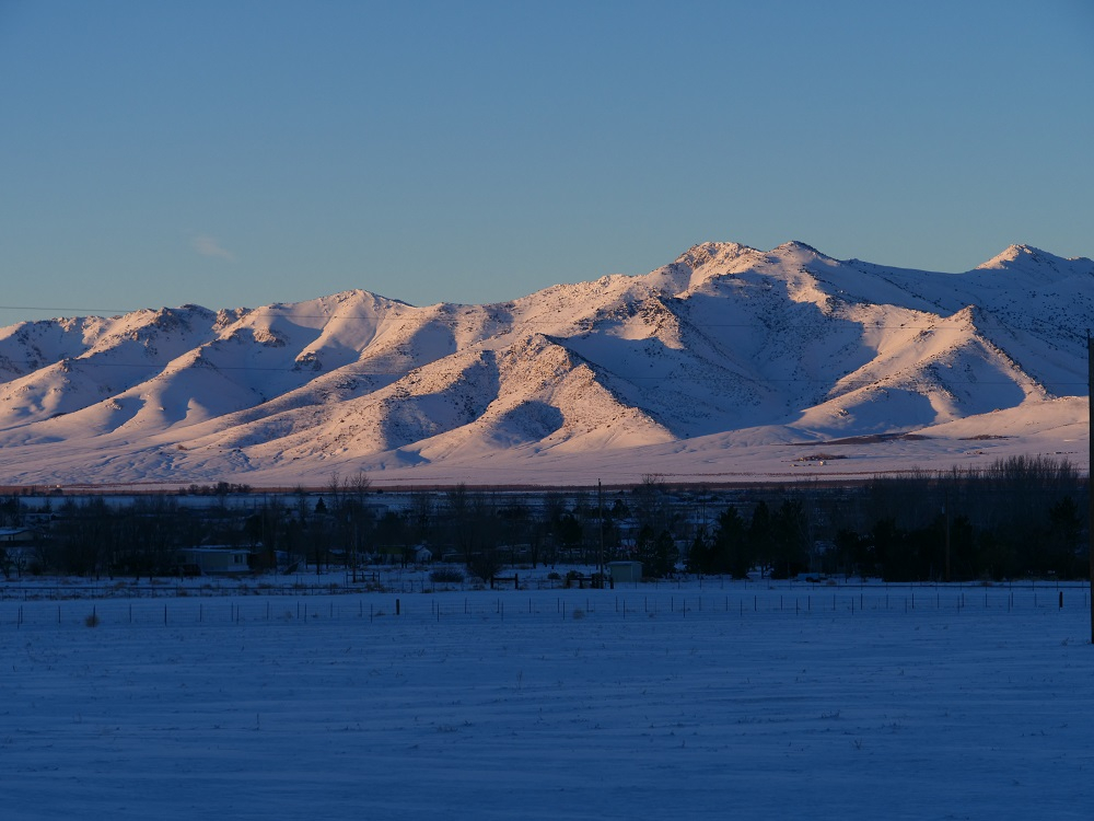 P1013530rtbn.jpg