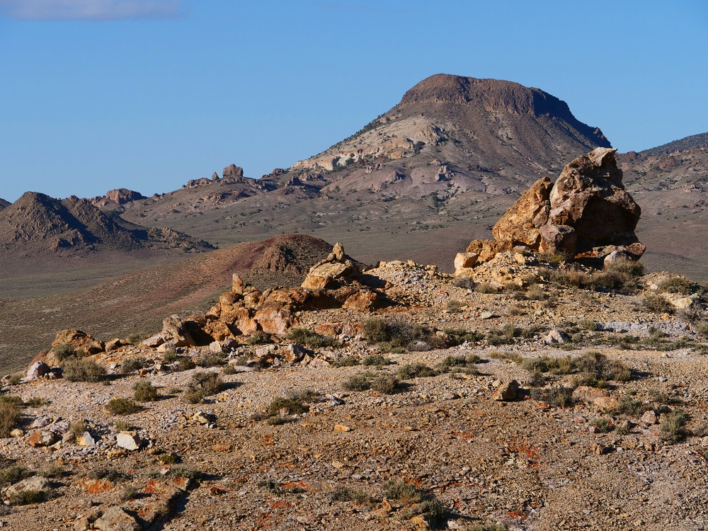 P1015346ertbn5-17-22.jpg
