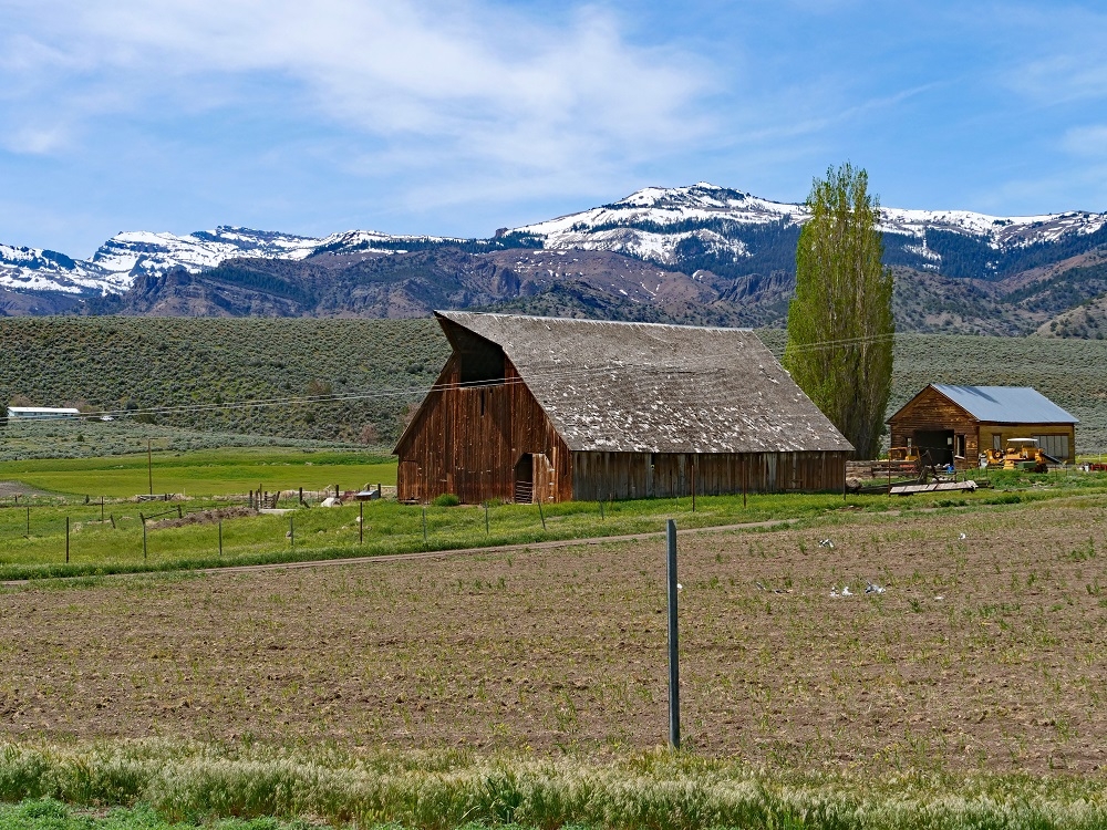 P1015680ertbn8-19-23.jpg
