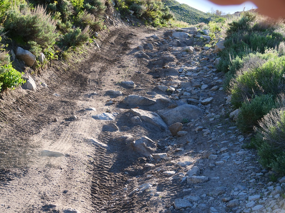 P1016356r.jpg