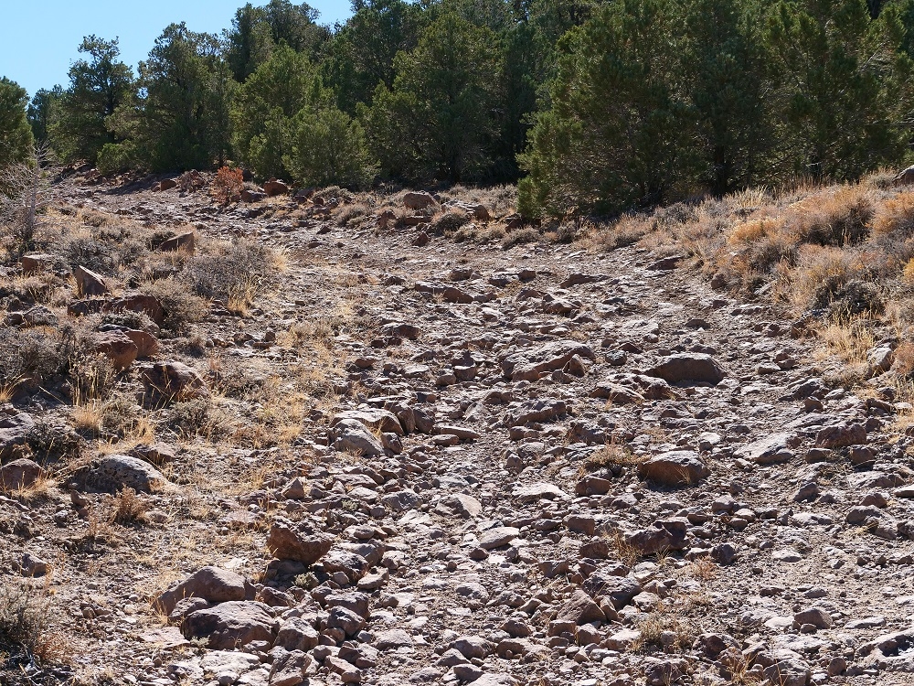 P1017617er.jpg