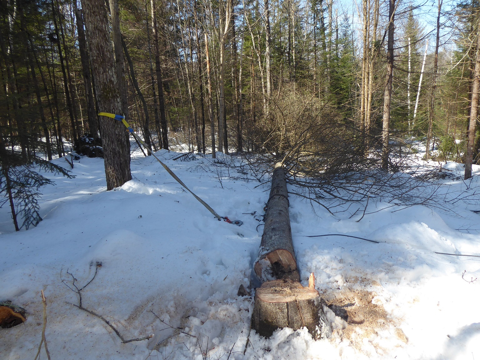 P1020151.JPG