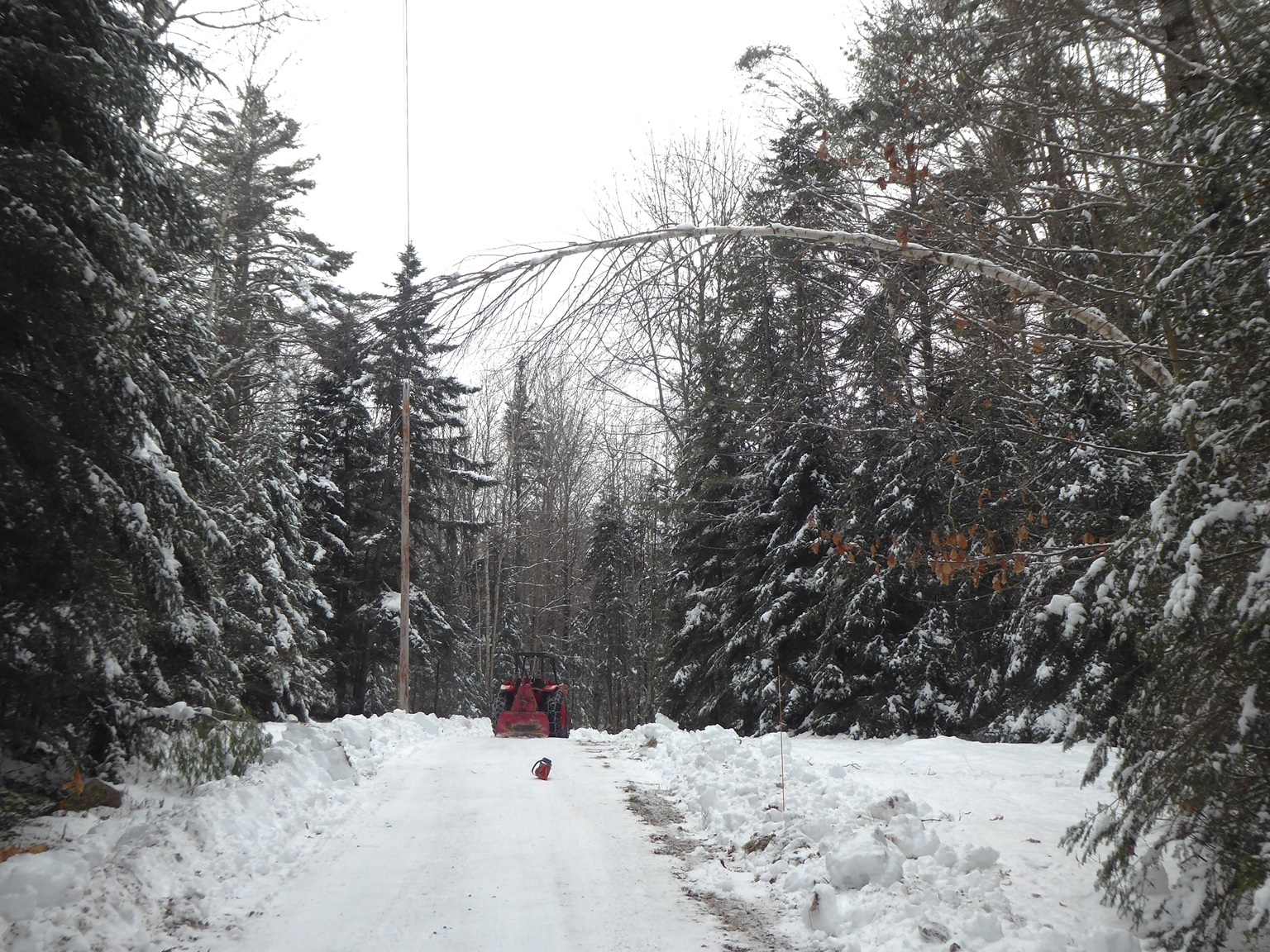 P1020623=1.JPG