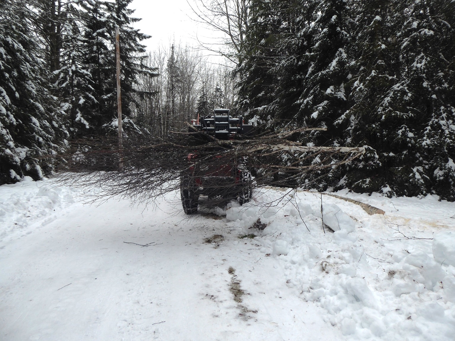P1020633-1.JPG