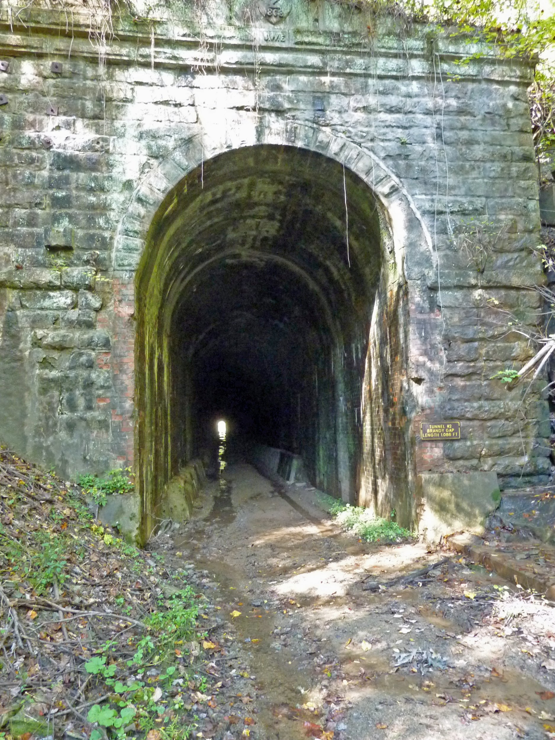 P1030441a.jpg