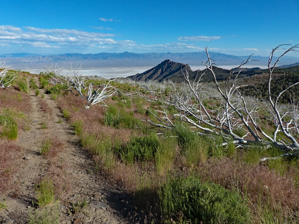 P1040207er.jpg
