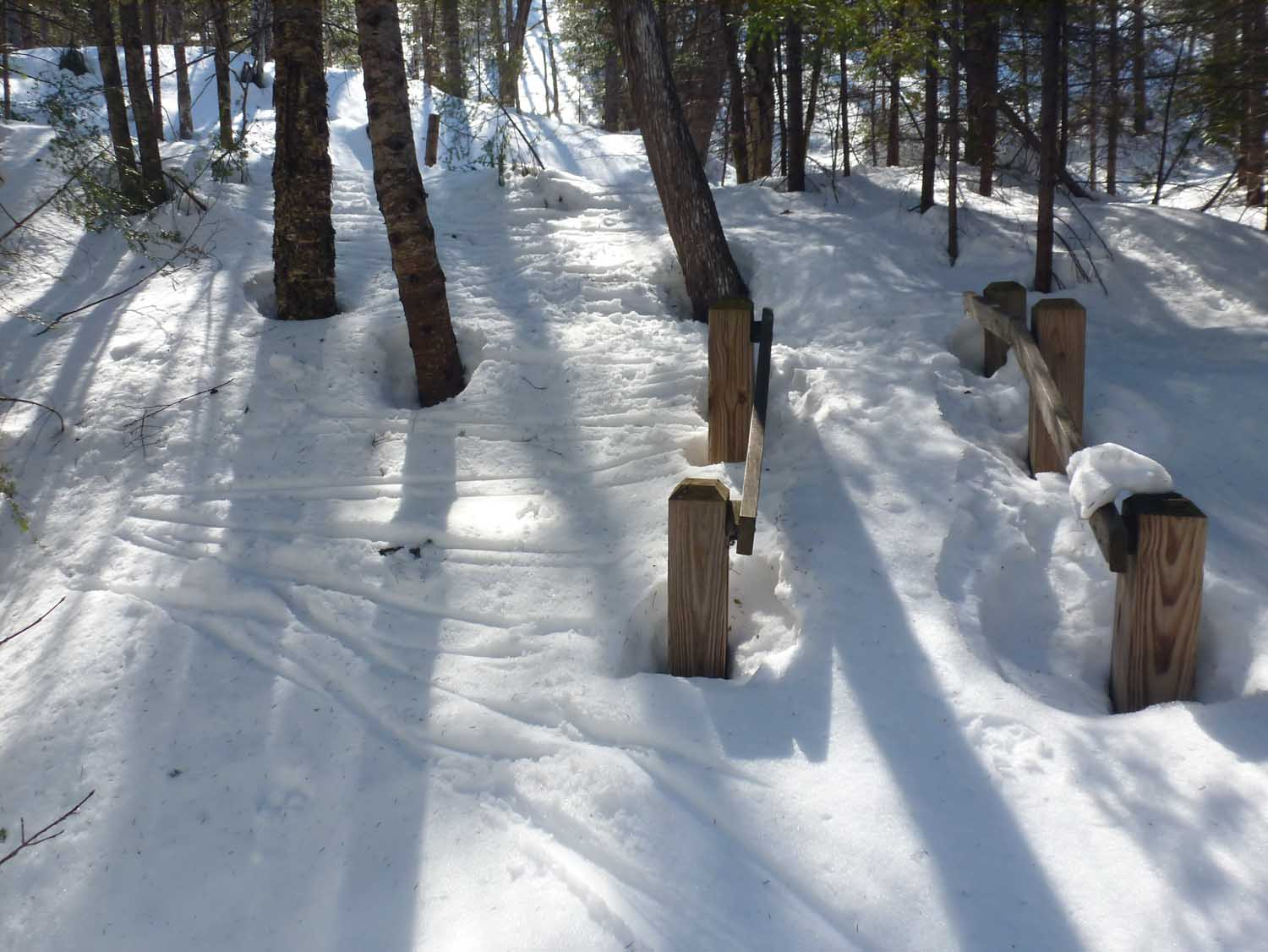 P1050164.jpg