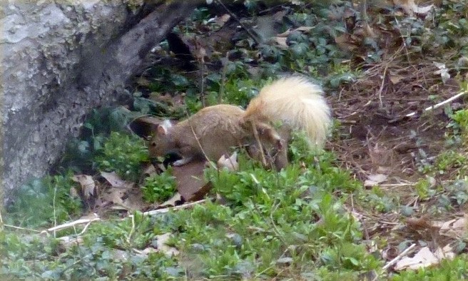 P1100616.jpg