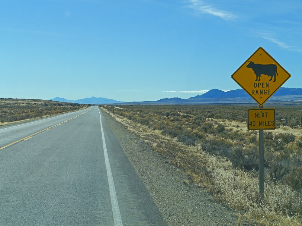 P1110201er.jpg