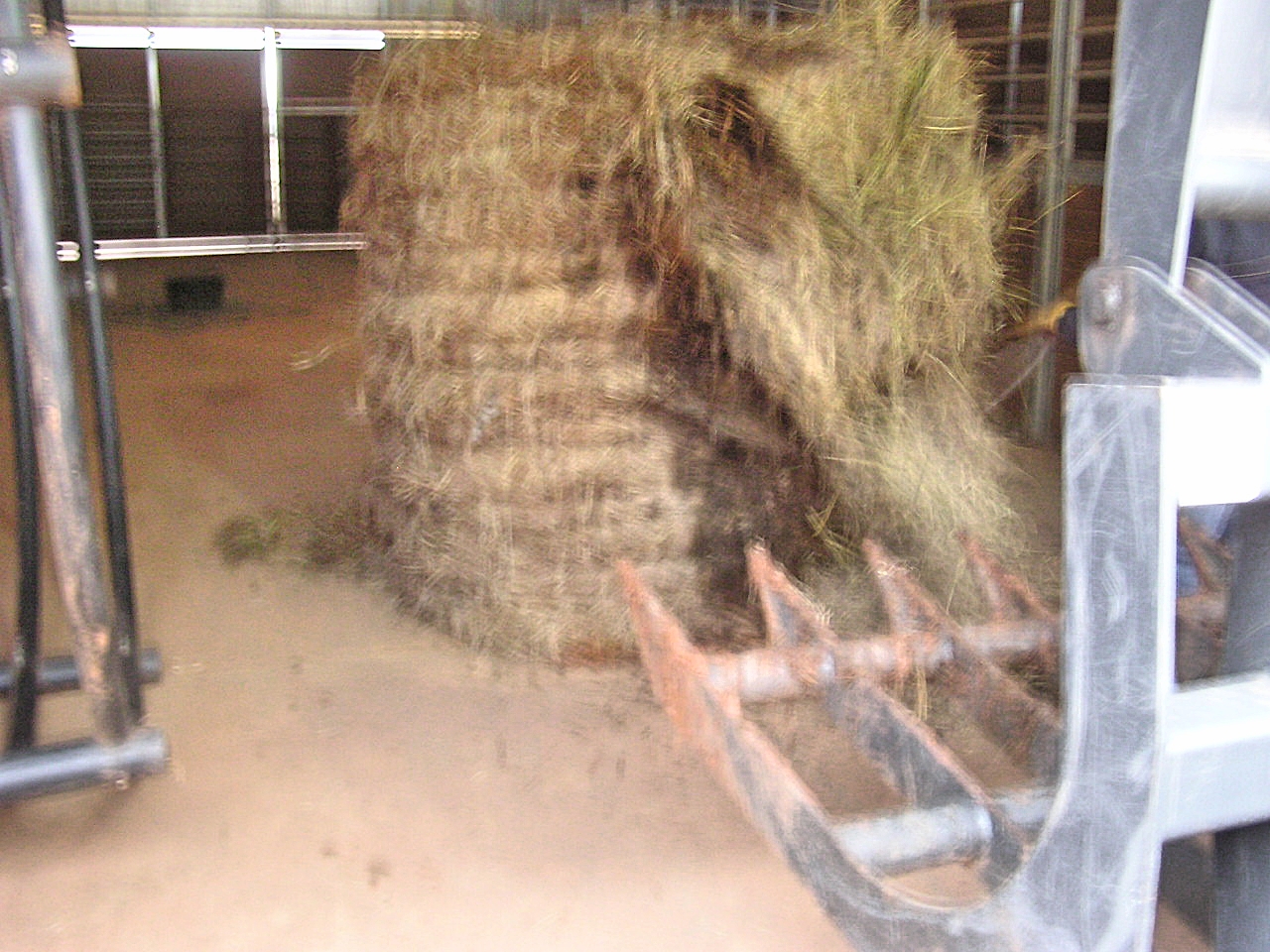 P1120007m.jpg