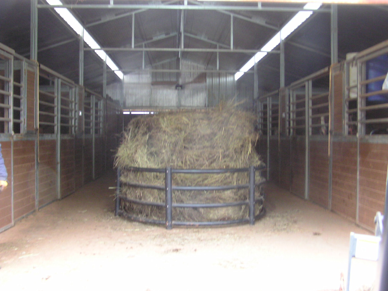 P1120009.JPG