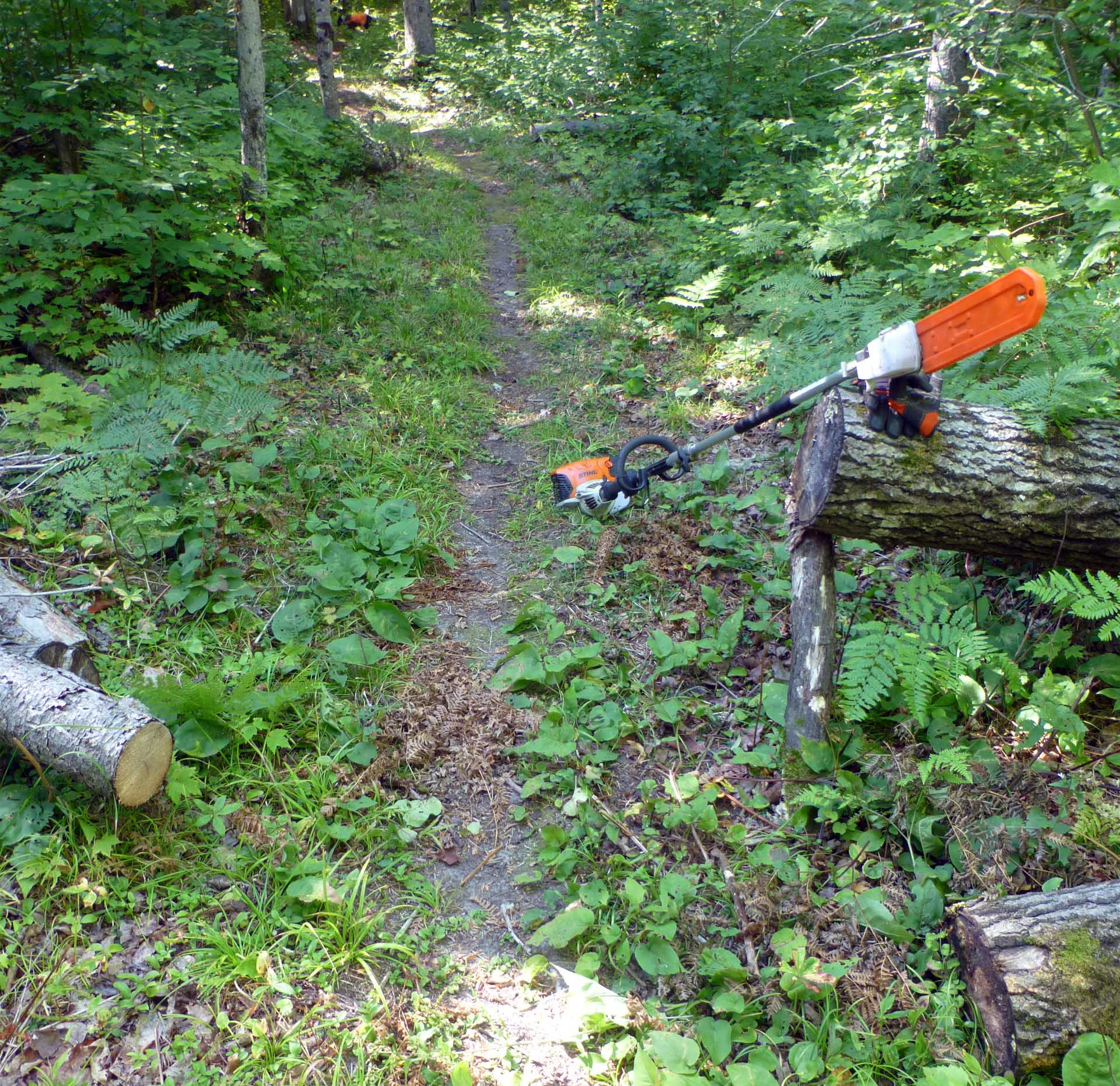 P1120162.jpg