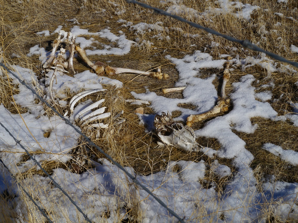 P1120889r.jpg