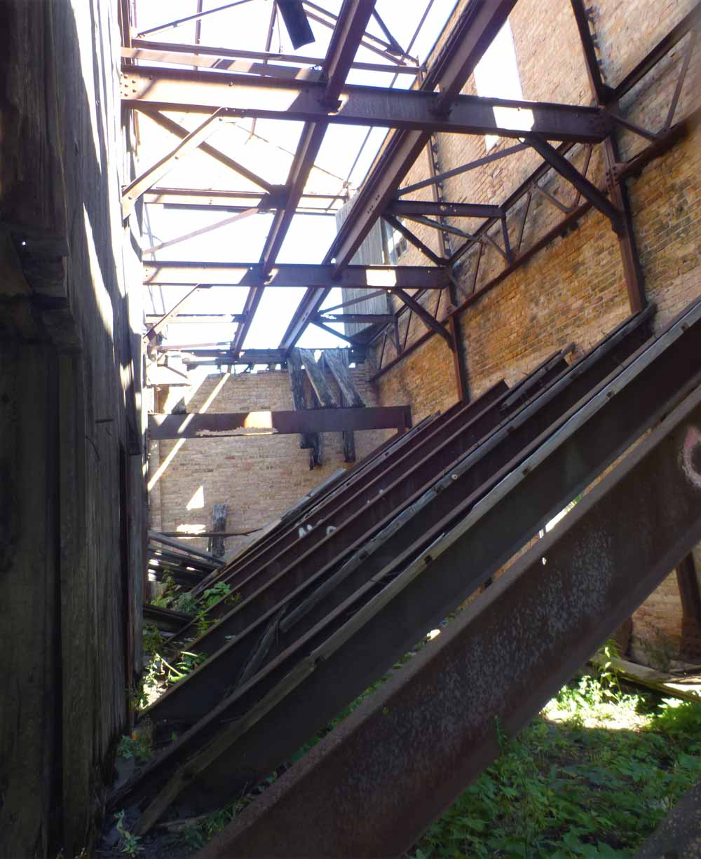 P1130014.jpg