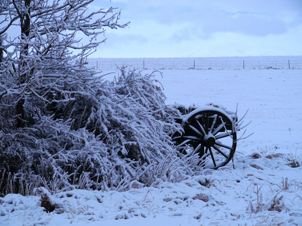 P1130063r.jpg