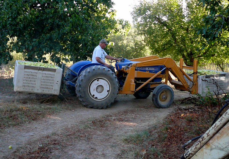 p1140832rharvesttractor2bins-jpg.218557