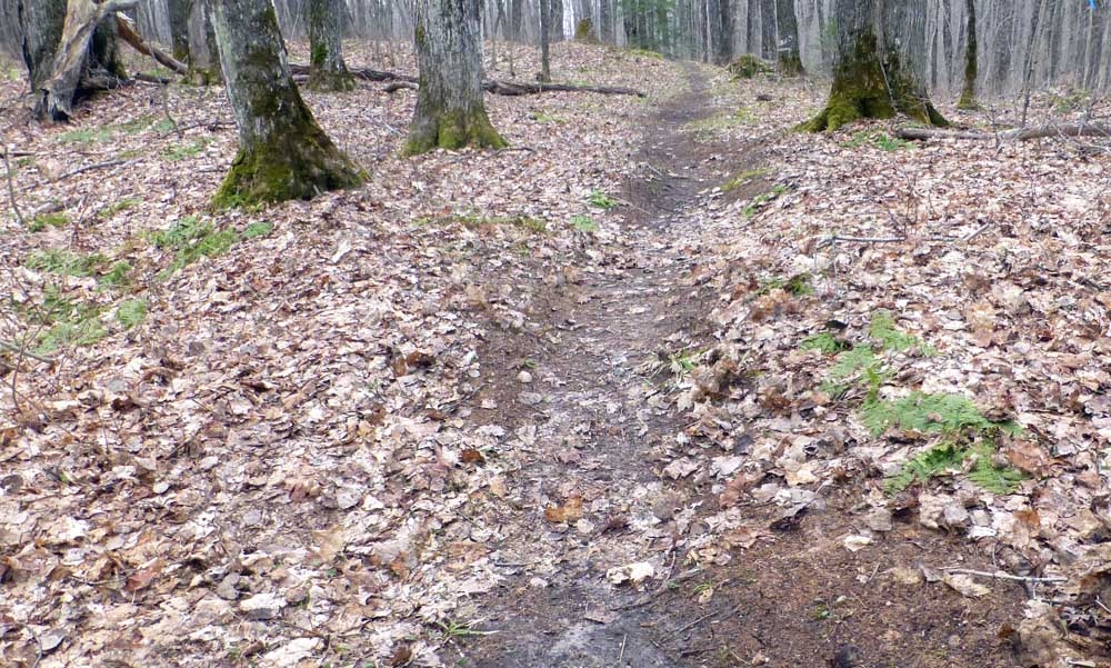 P1160449.jpg