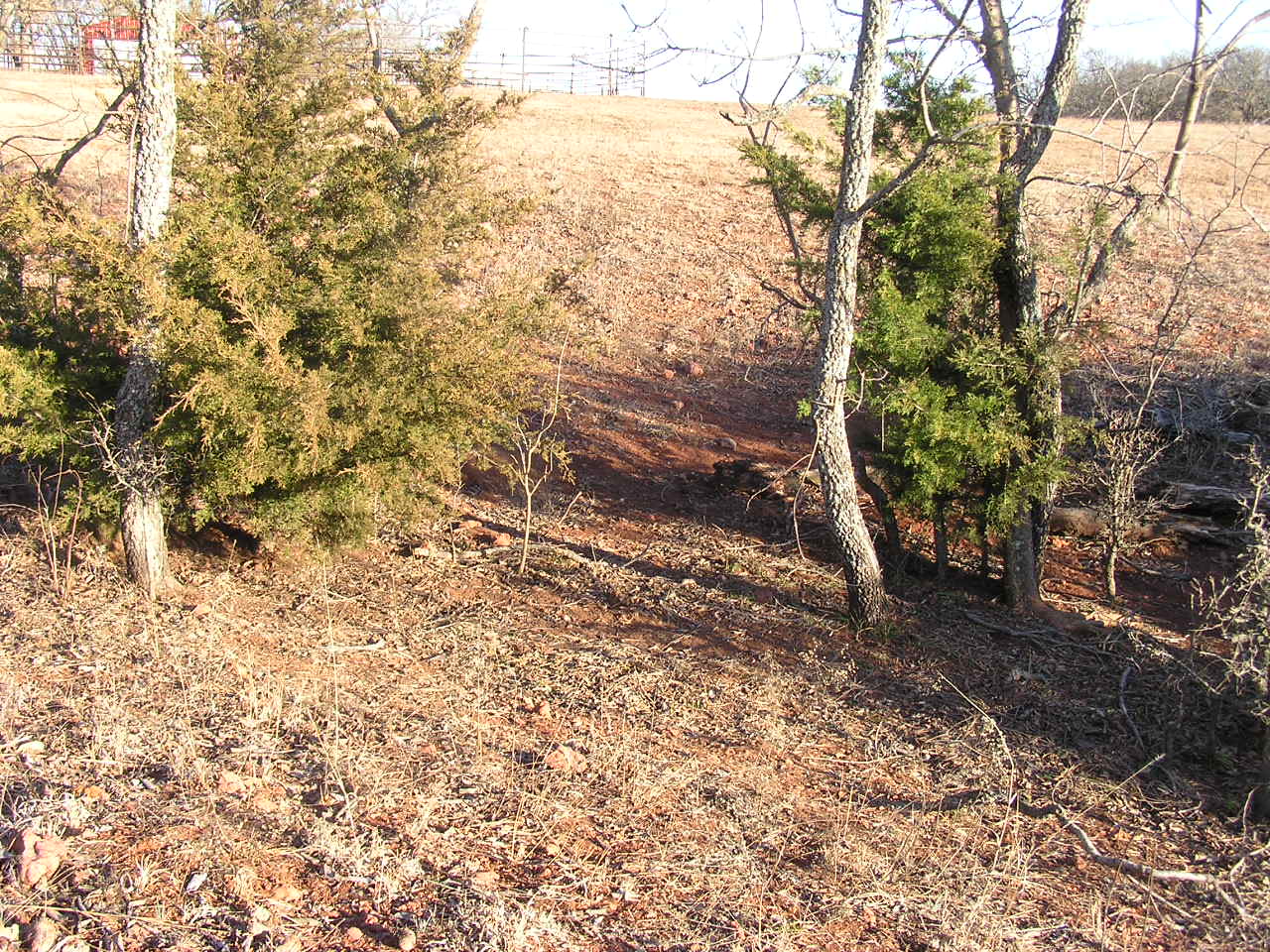 P1200001.JPG