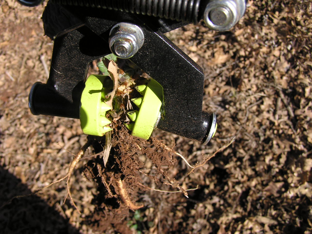 P2180032.JPG