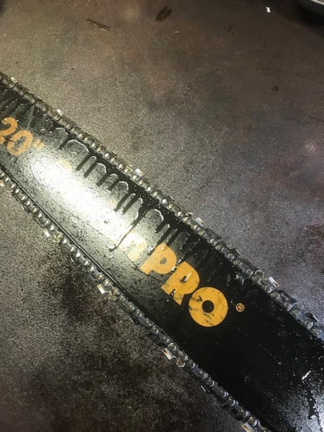 p295oi.jpg