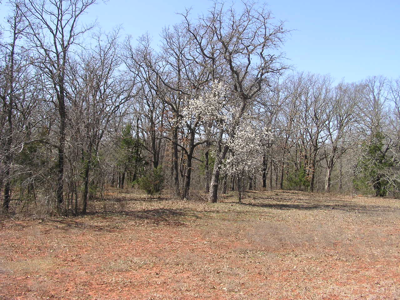 P3240001.JPG