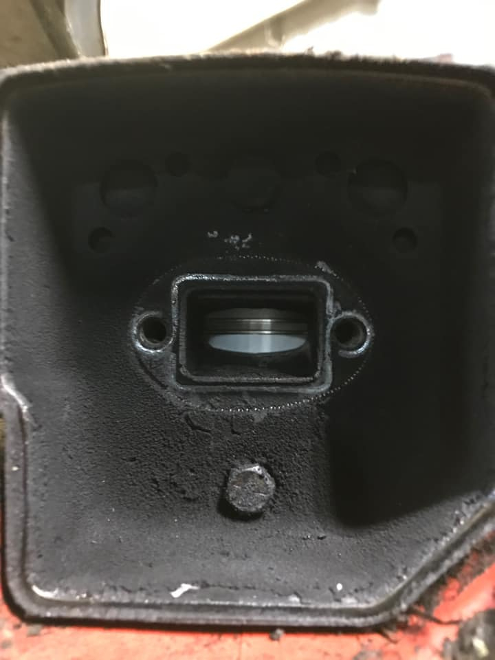 p37thin.jpg