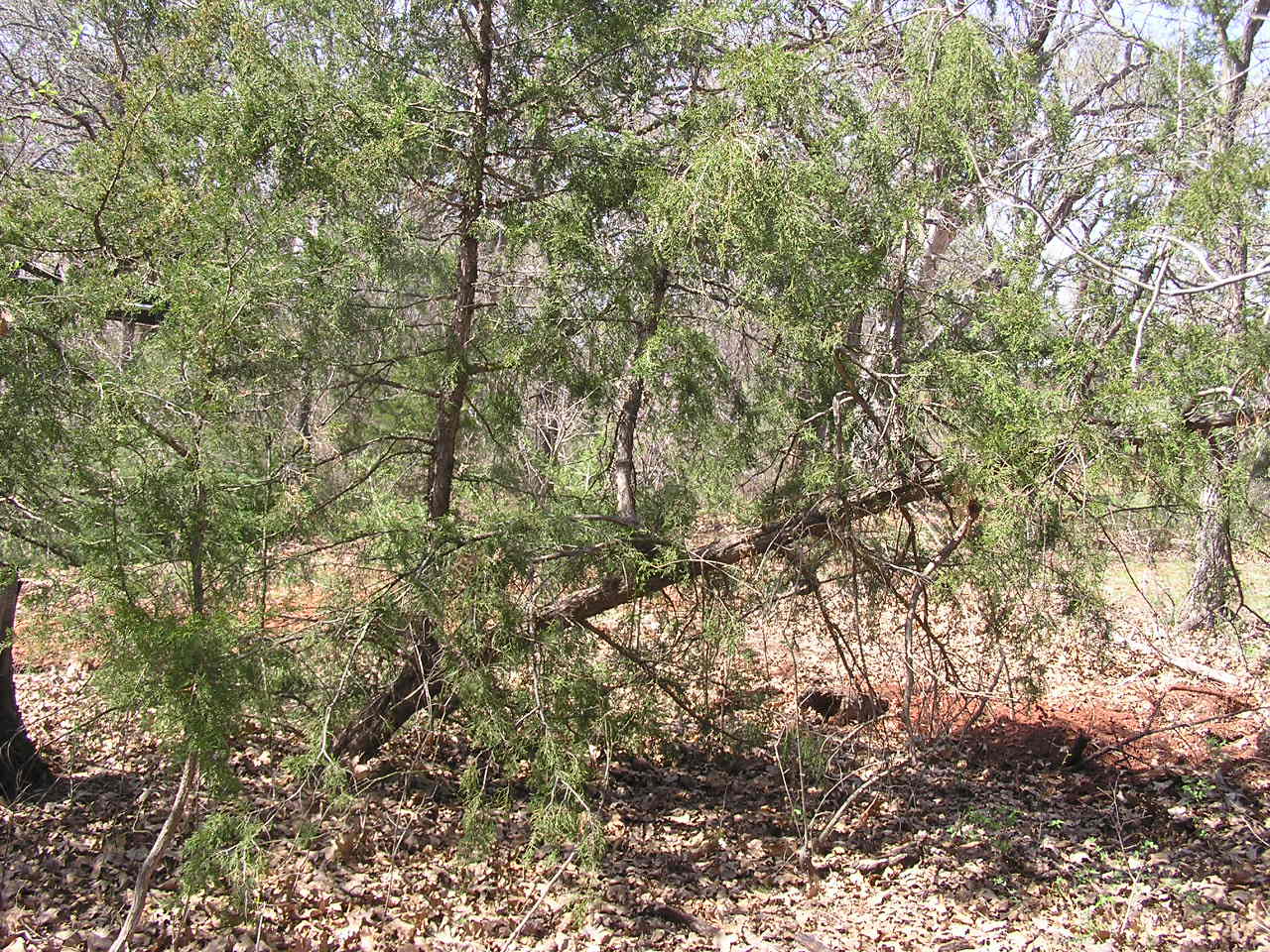 P4020023.JPG