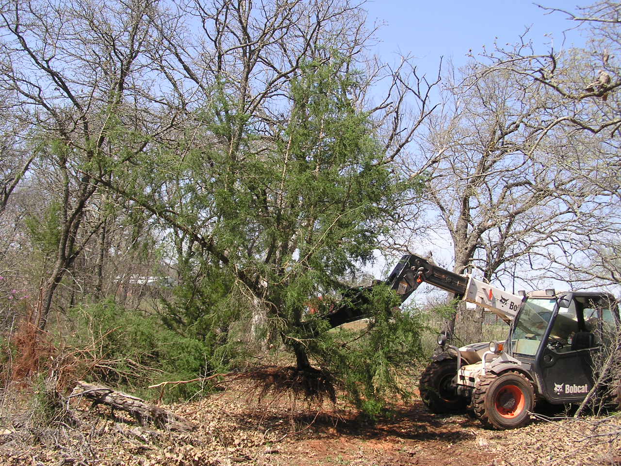 P4020034.JPG