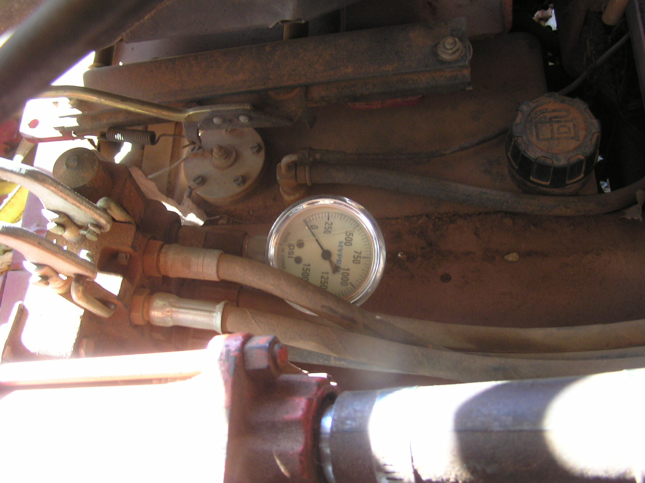 P4070001.JPG