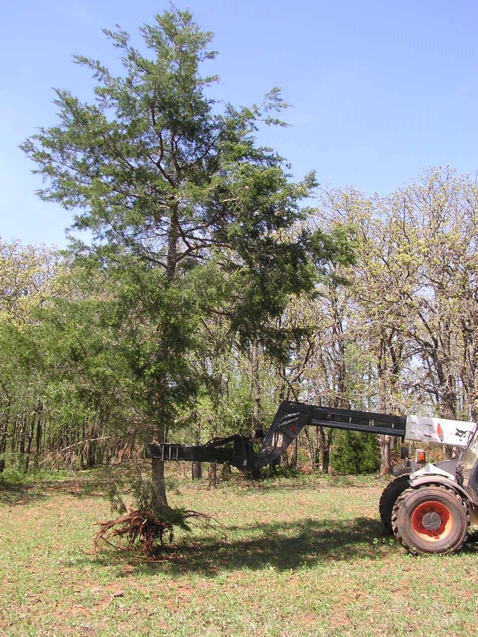 P4090022.JPG