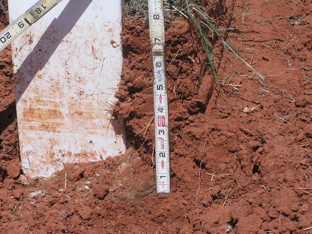 P4180003.JPG