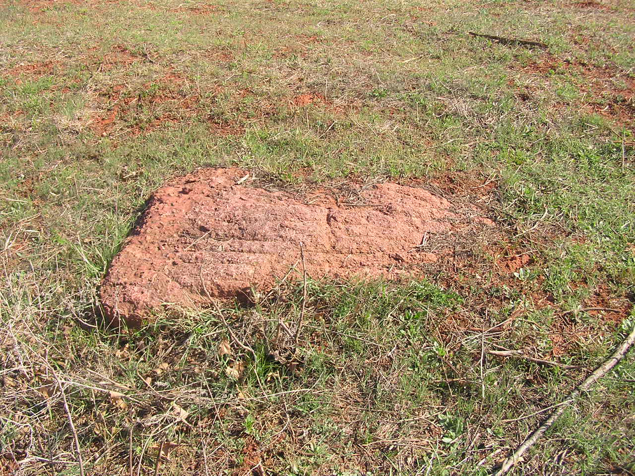 P4180030.JPG