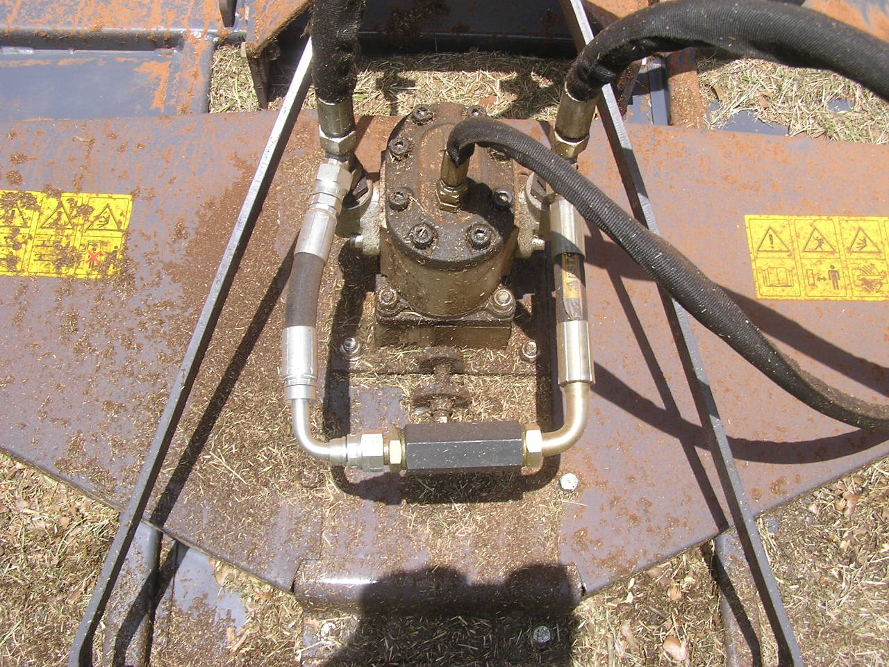 P4290001.JPG