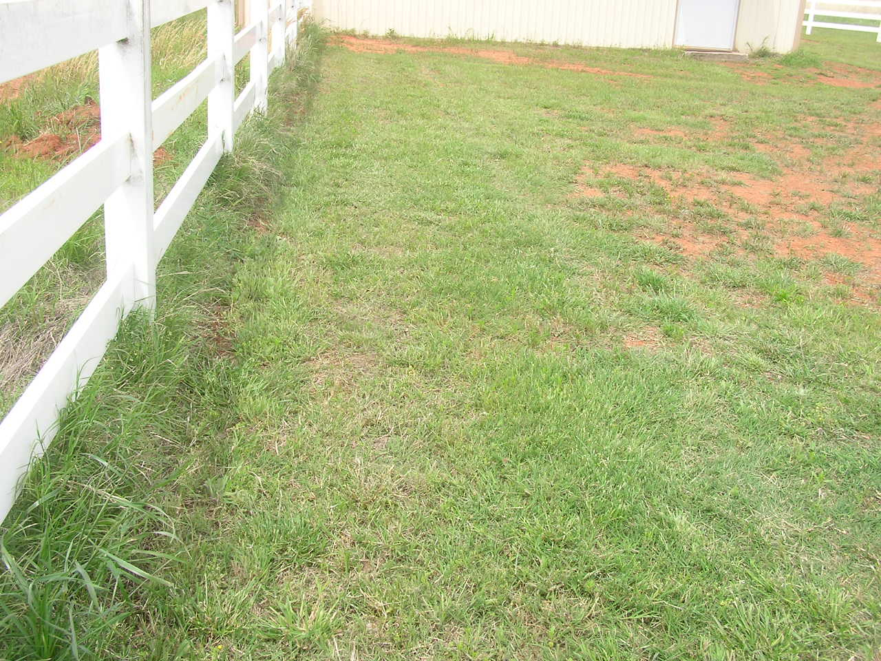 P5150005.JPG