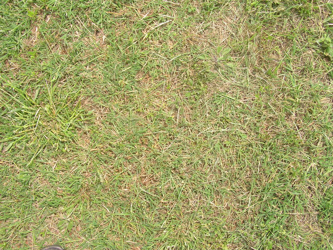 P5150008.JPG