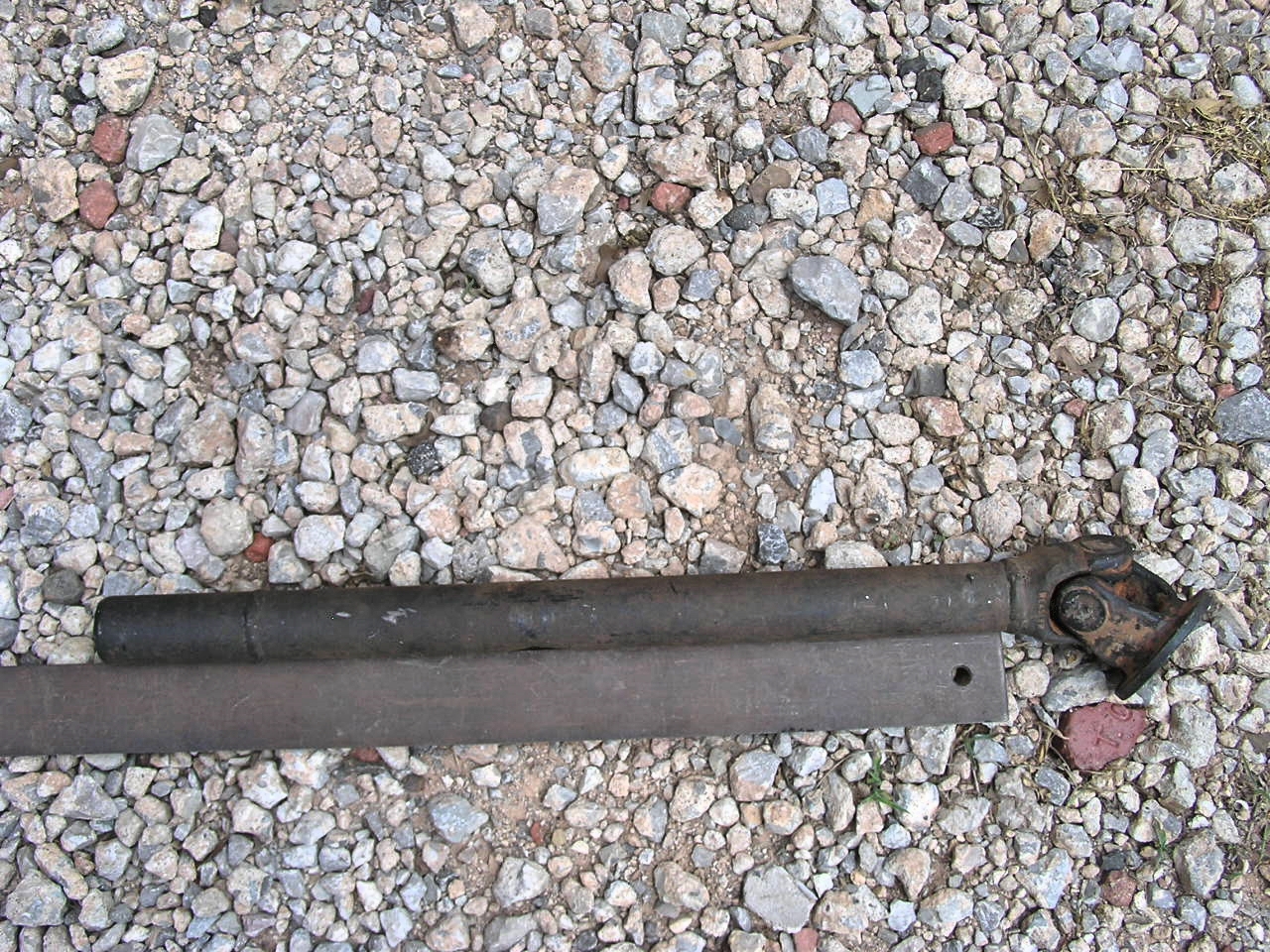 P6090030.JPG