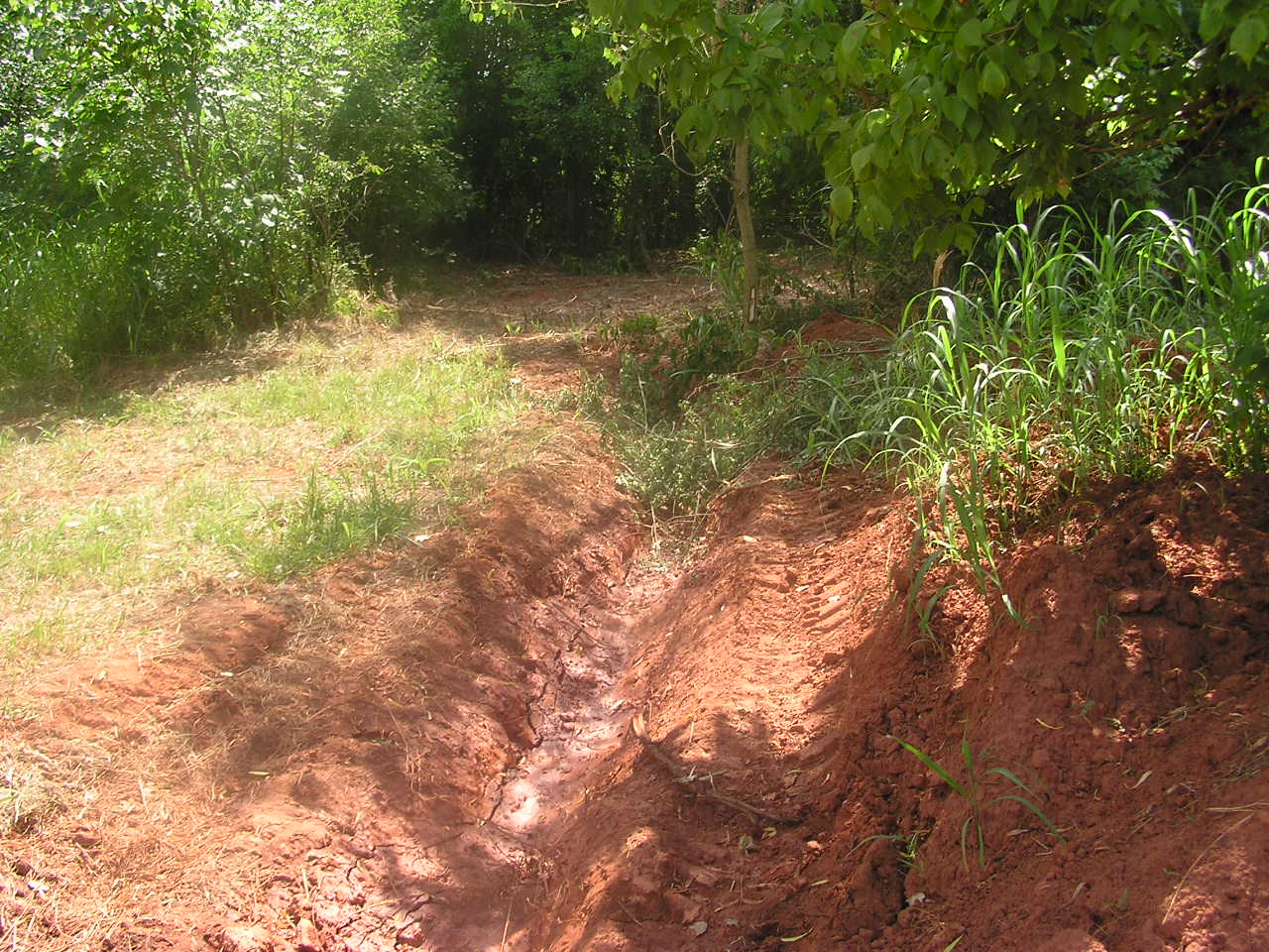 P6230038.JPG