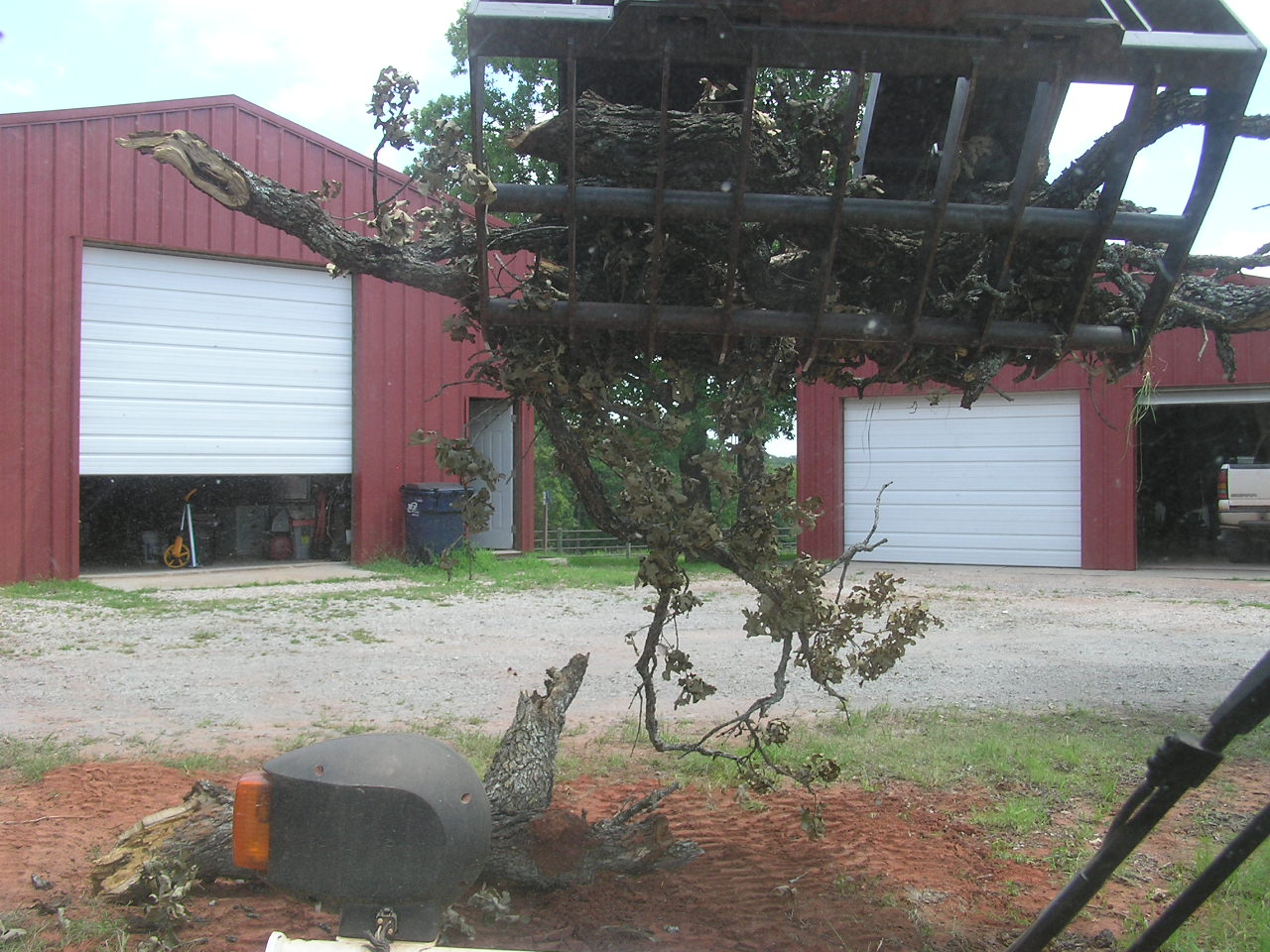 P6300008.JPG
